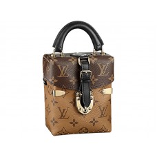 Louis Vuitton Monogram Canvas cameradoos bruin