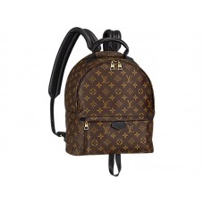 Louis Vuitton Monogram Canvas Palm Springs Rugzak Mm