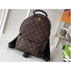 Louis Vuitton Monogram Canvas Palm Springs Rugzak PM M41560